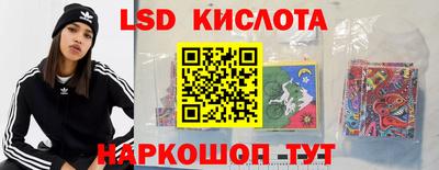прущие крисы Камышлов