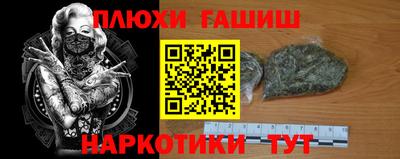 прущие крисы Камышлов