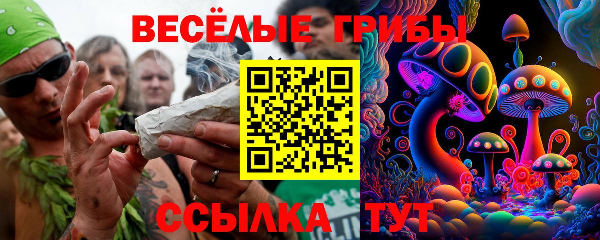 Галлюциногенные грибы ЛСД Лениногорск